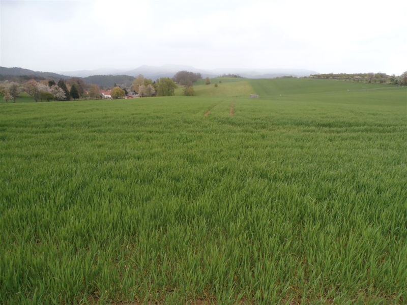 Referenzen Gutachten Landwirtschaft