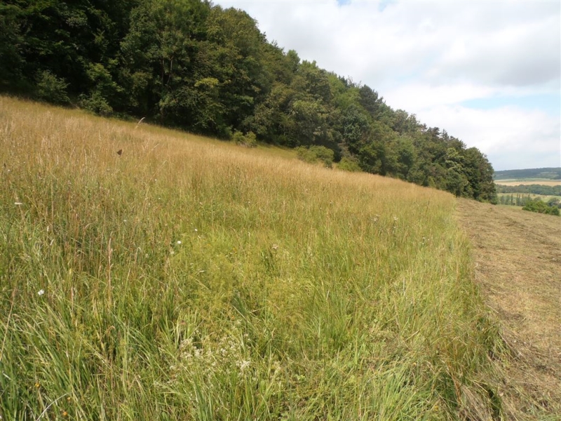 Referenzen Gutachten Landwirtschaft