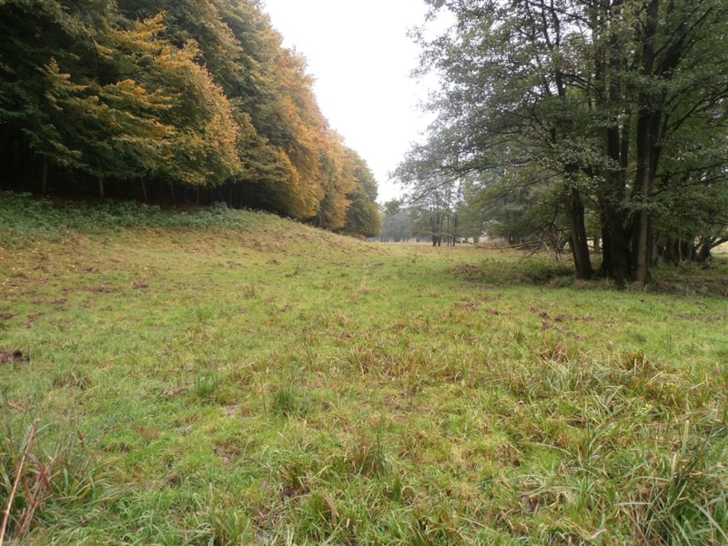 Referenzen Gutachten Landwirtschaft